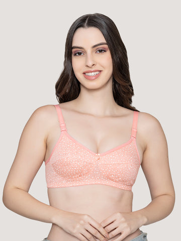 Kalyani Mini Rose
